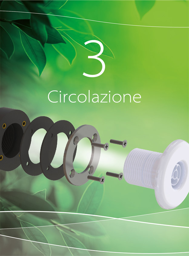 Circolazione