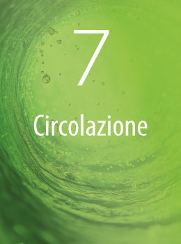 Circolazione