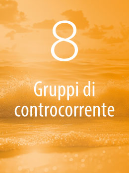 Gruppi di controcorrente