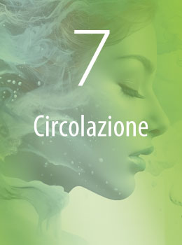 Circolazione